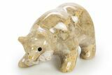 Realistic, Polished Fossil Coral Bear with Fish - Philippines #308438-1